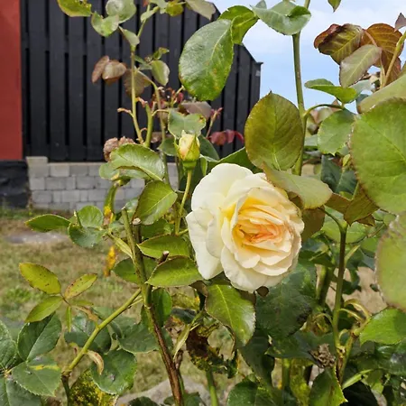 Ruse - 6km From The Sea By Interhome Åkirkeby